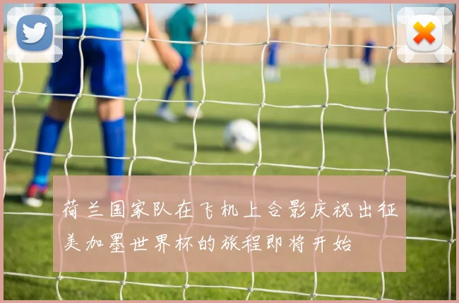 荷兰国家队在飞机上合影庆祝出征美加墨世界杯的旅程即将开始