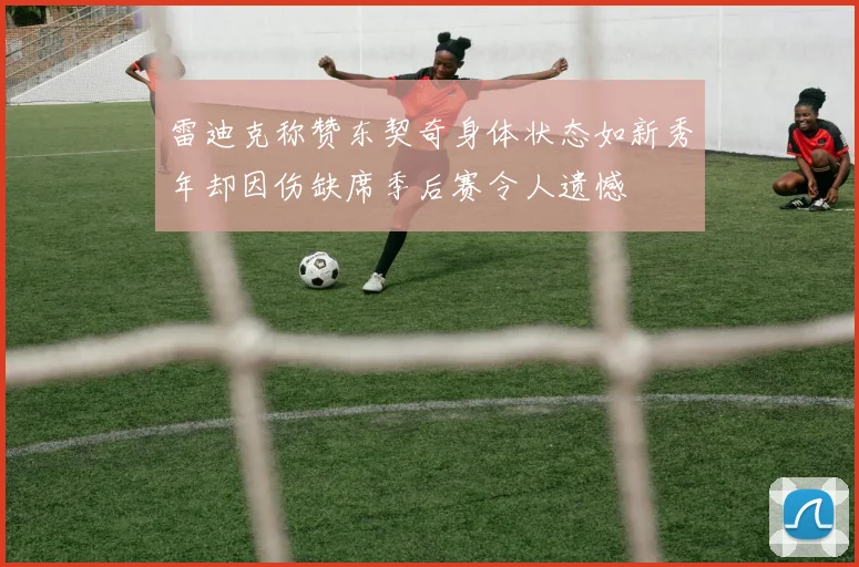 雷迪克称赞东契奇身体状态如新秀年却因伤缺席季后赛令人遗憾